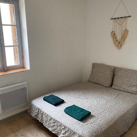 Plein Centre , Proche Du Chateau Apartman Carcassone Kültér fotó